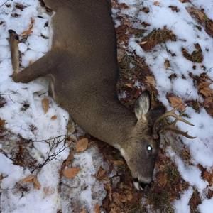 Meet your Posher, Trevor